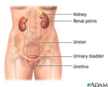 Tips To Help Control Urinary Incontinence From Diabetics